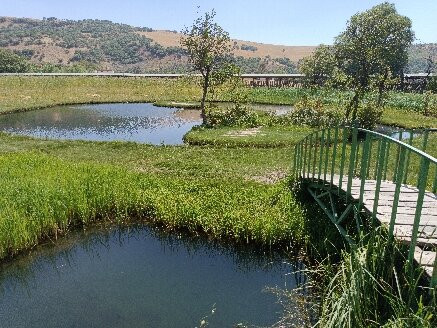 Yuzen Ada-Bingol必去景点