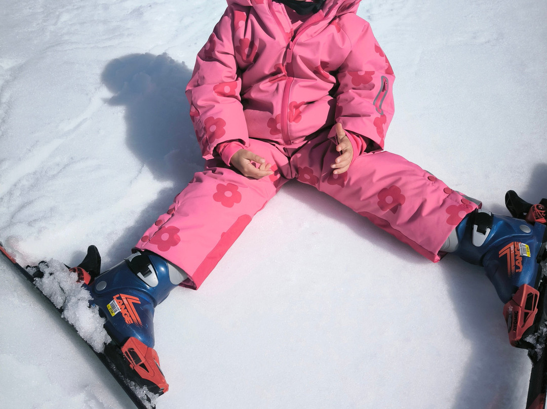 Alpine Ski Academy Baqueira-Baqueira必去景点