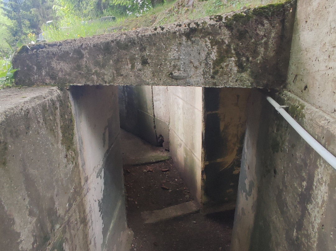 Bunkermuseum-Arnoldstein必去景点