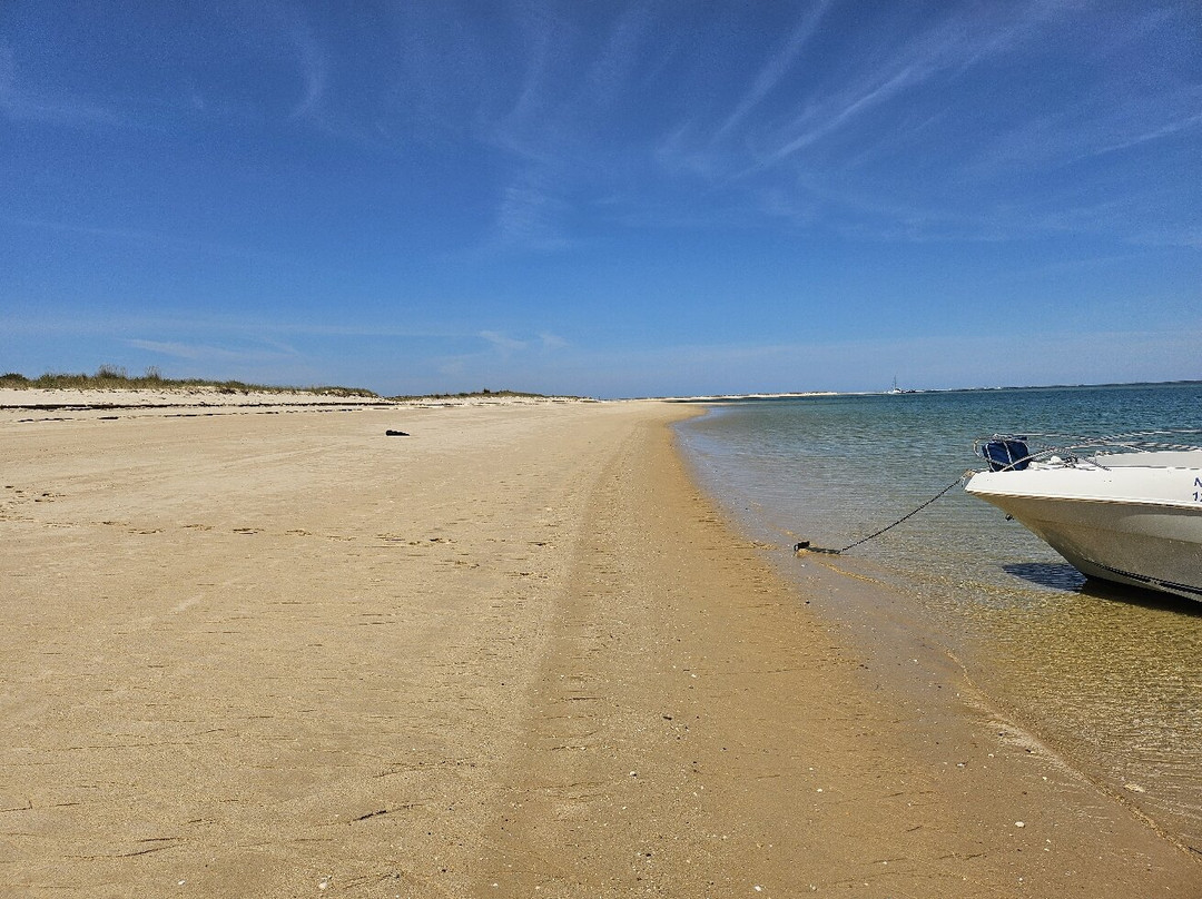 iSea Boat Charter-法罗必去景点