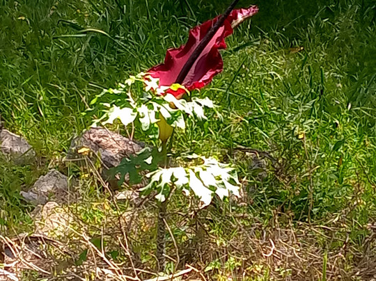 Hiking Rhodes-罗德斯必去景点