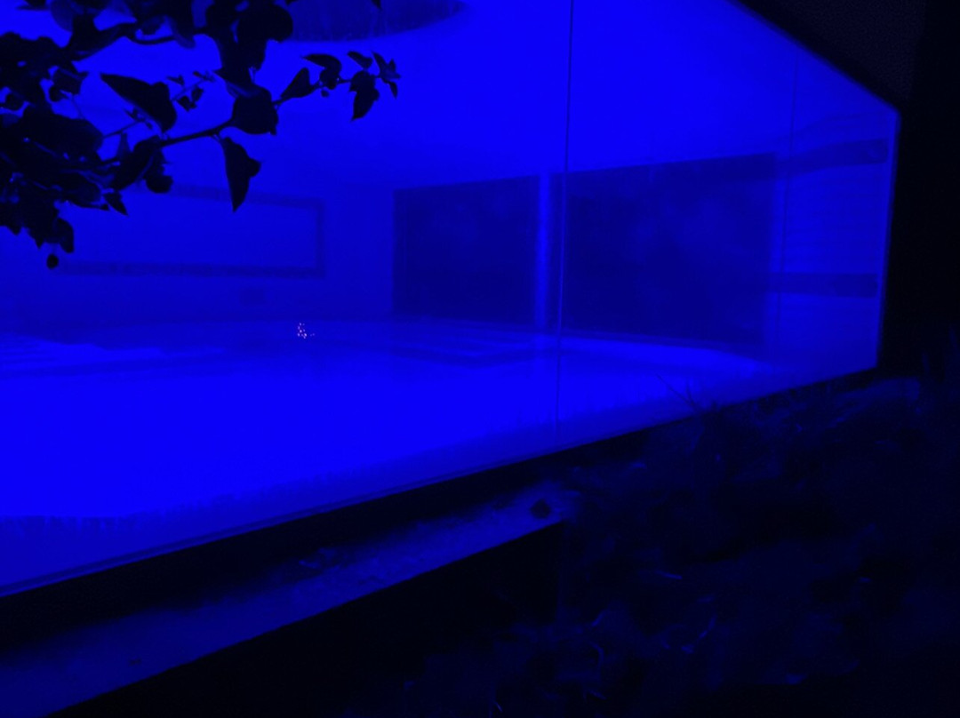 朋塔罗萨酒店主图