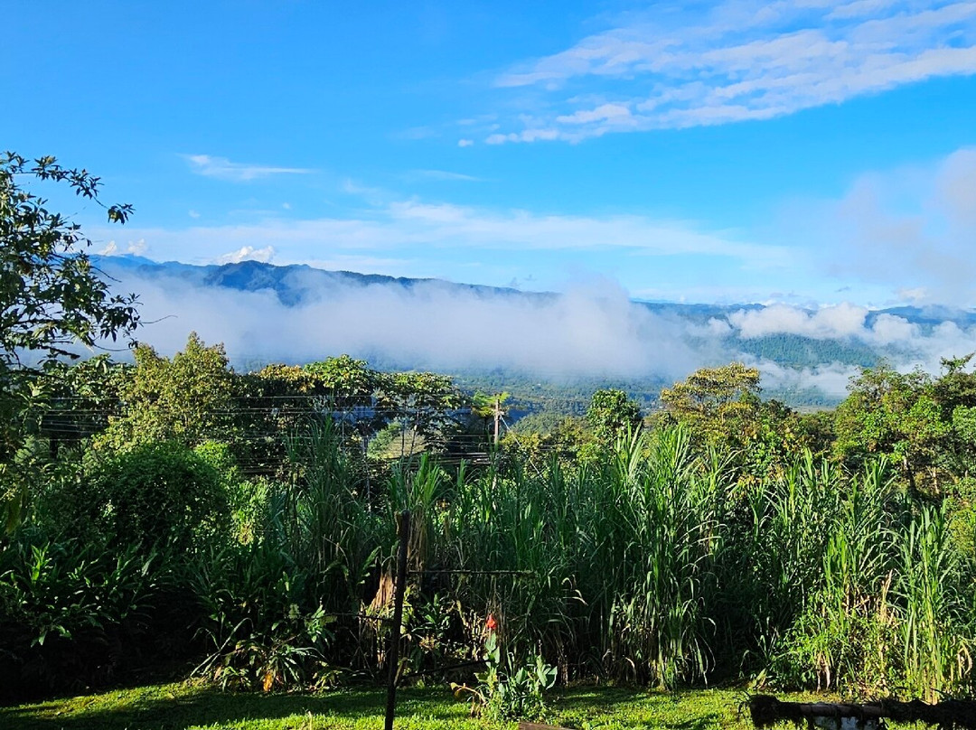 Sachatamia Lodge主图