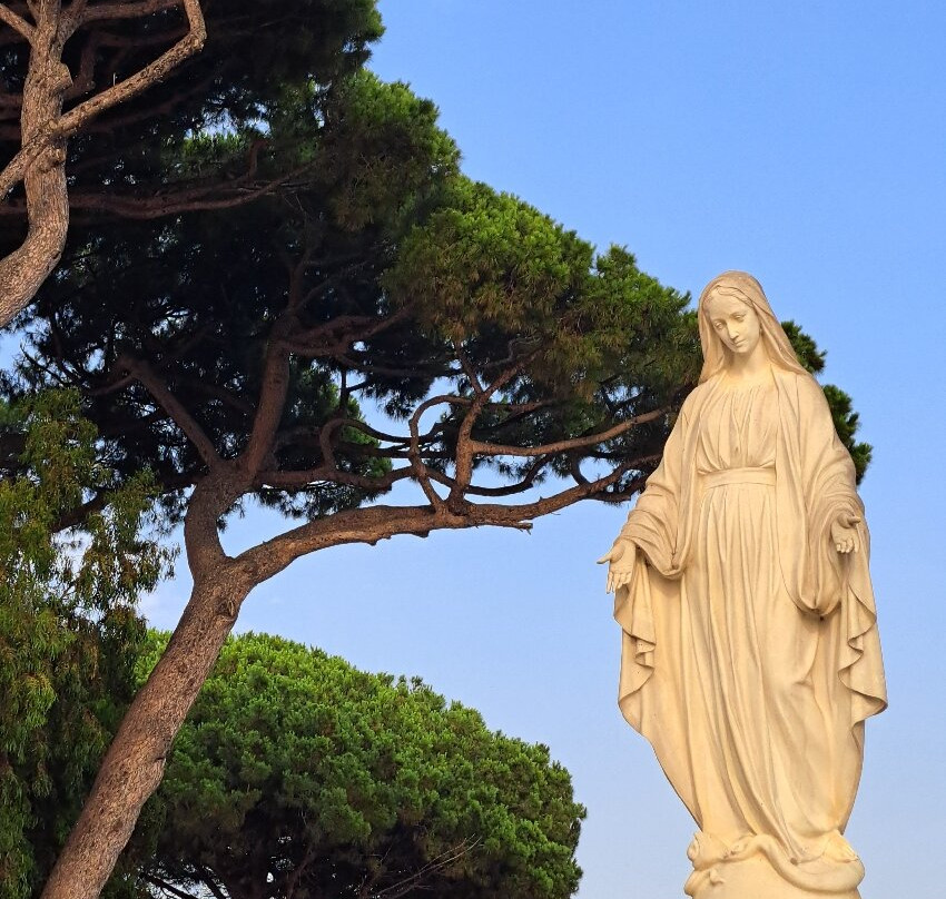 Colle Sant'Alfonso景点图片