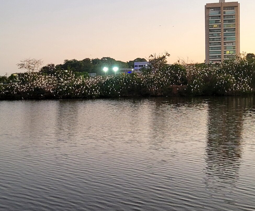 Parque Lago Municipal Recanto das Araras景点图片