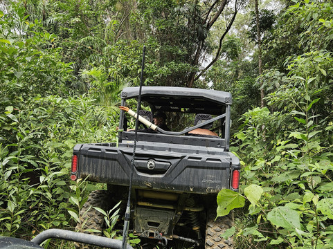 Cassowary Falls ATV Tours-Daintree必去景点