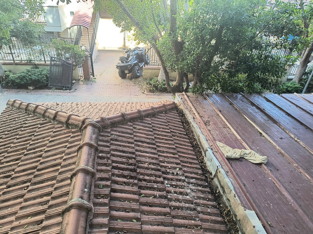 Villa Sunflower Hotel主图