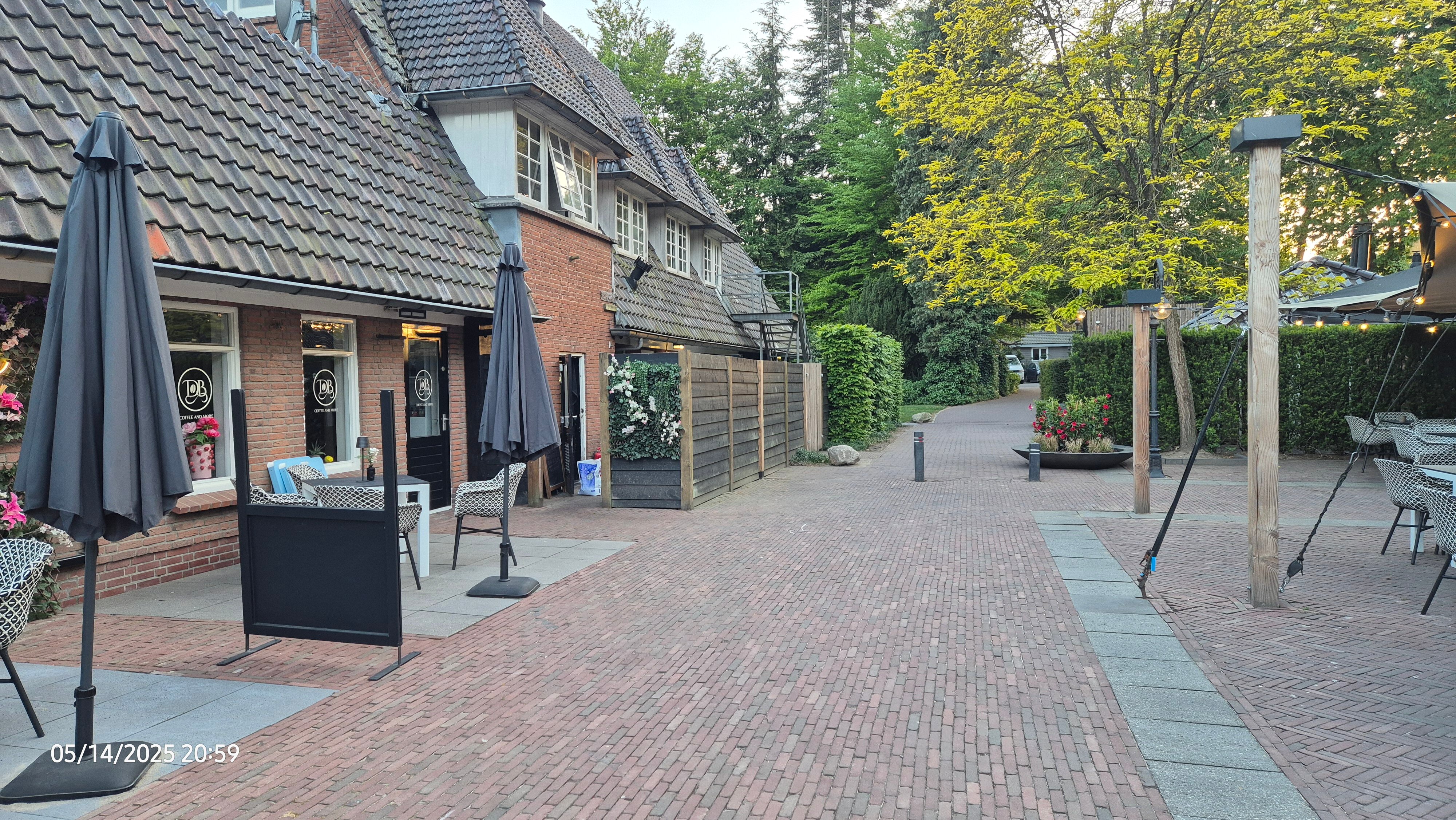 TopParken - Landgoed de Scheleberg-泳池