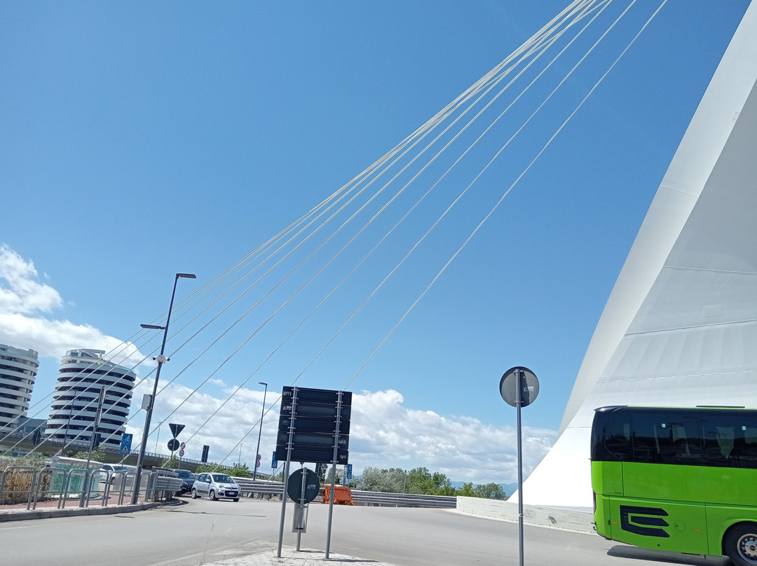 Ponte Flaiano景点图片