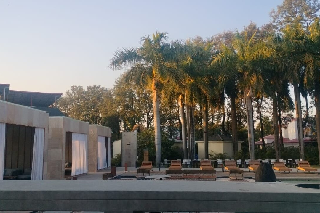 Naturoville Wellness Resort Rishikesh - Surrounded by Nature, Rooted in Wellness主图