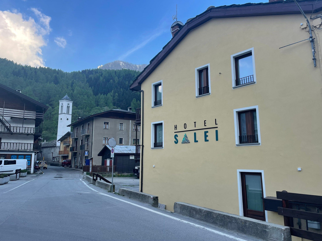 Hotel Salei主图