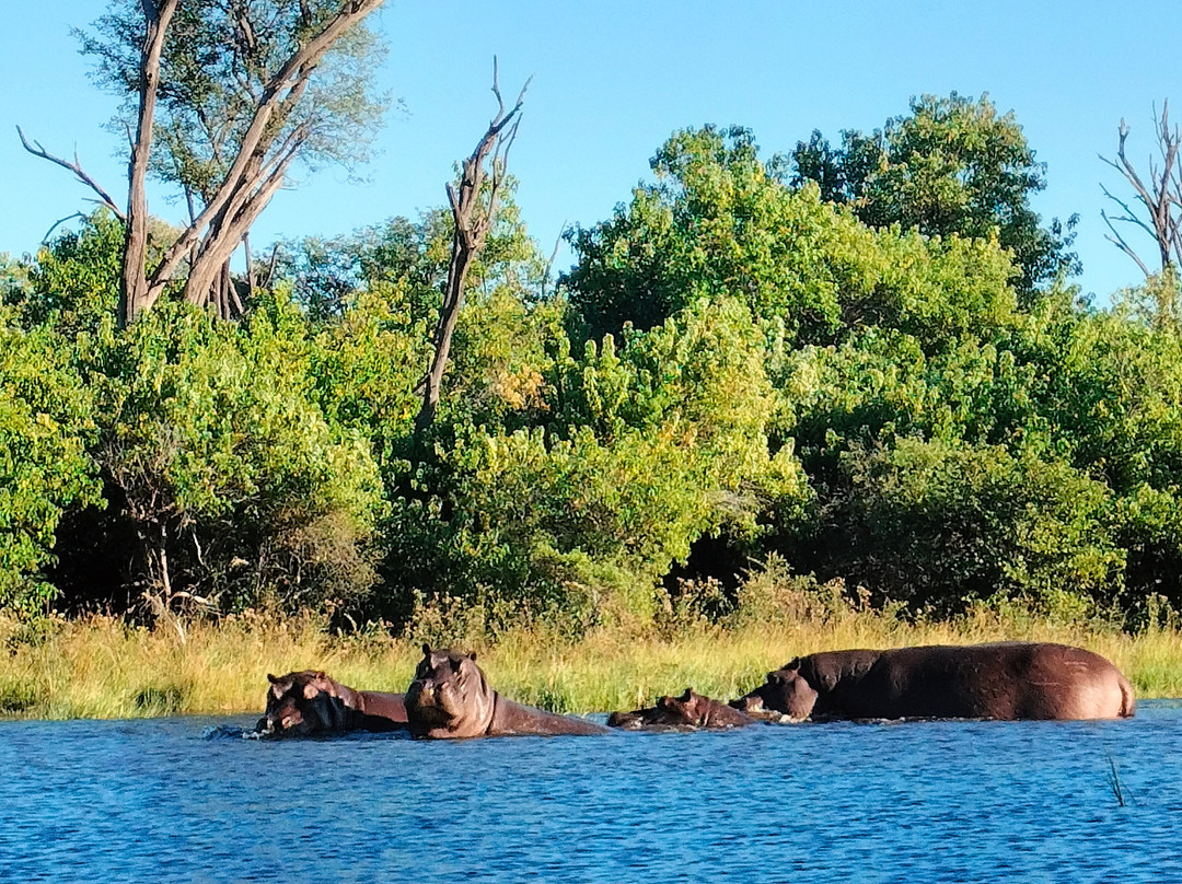 Saguni Safari Lodge主图