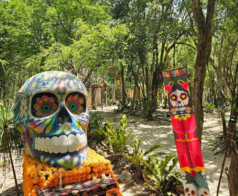 Parque De Cenotes Yax-Muul-图伦必去景点