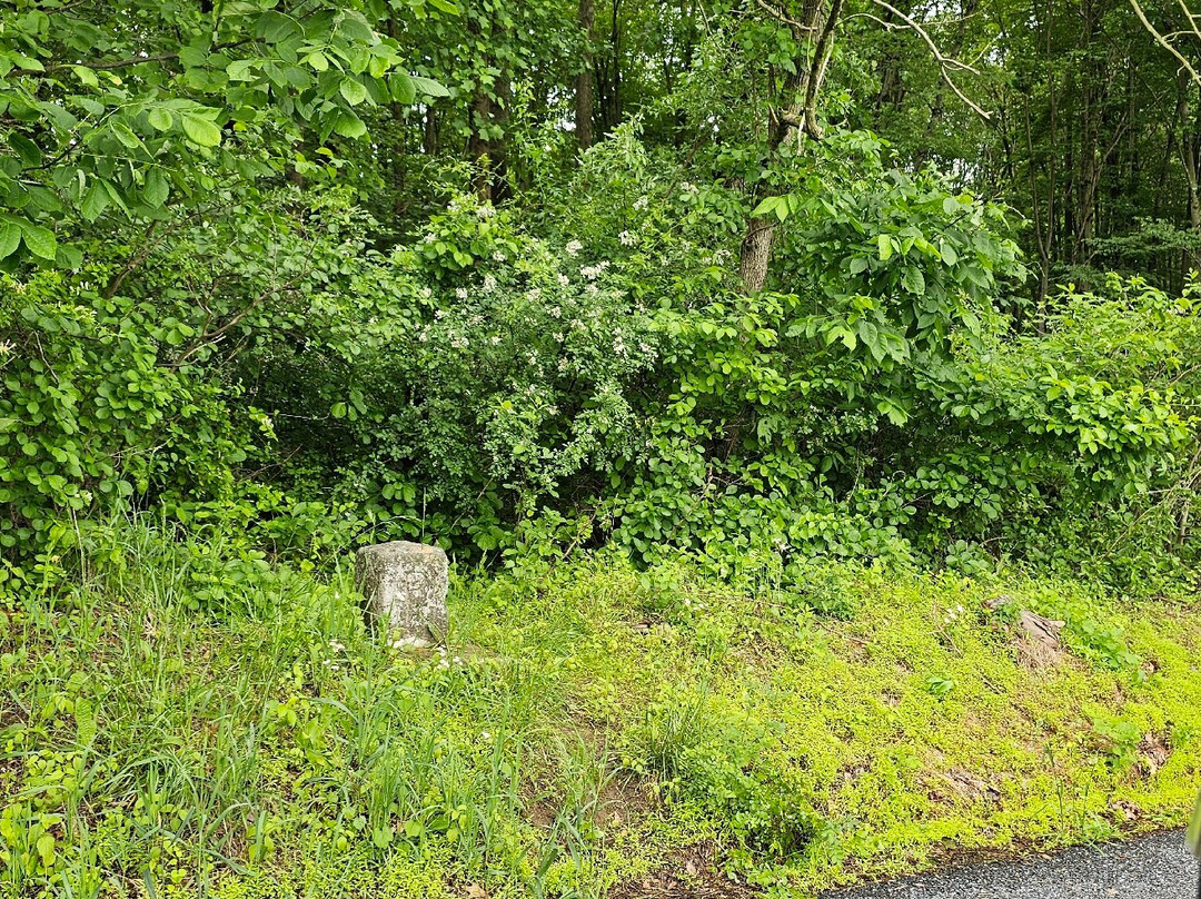 Mile Marker 1 - Mason-dixon Line-埃尔克顿必去景点