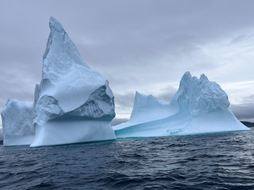 Seas the Day Boat Tours景点图片
