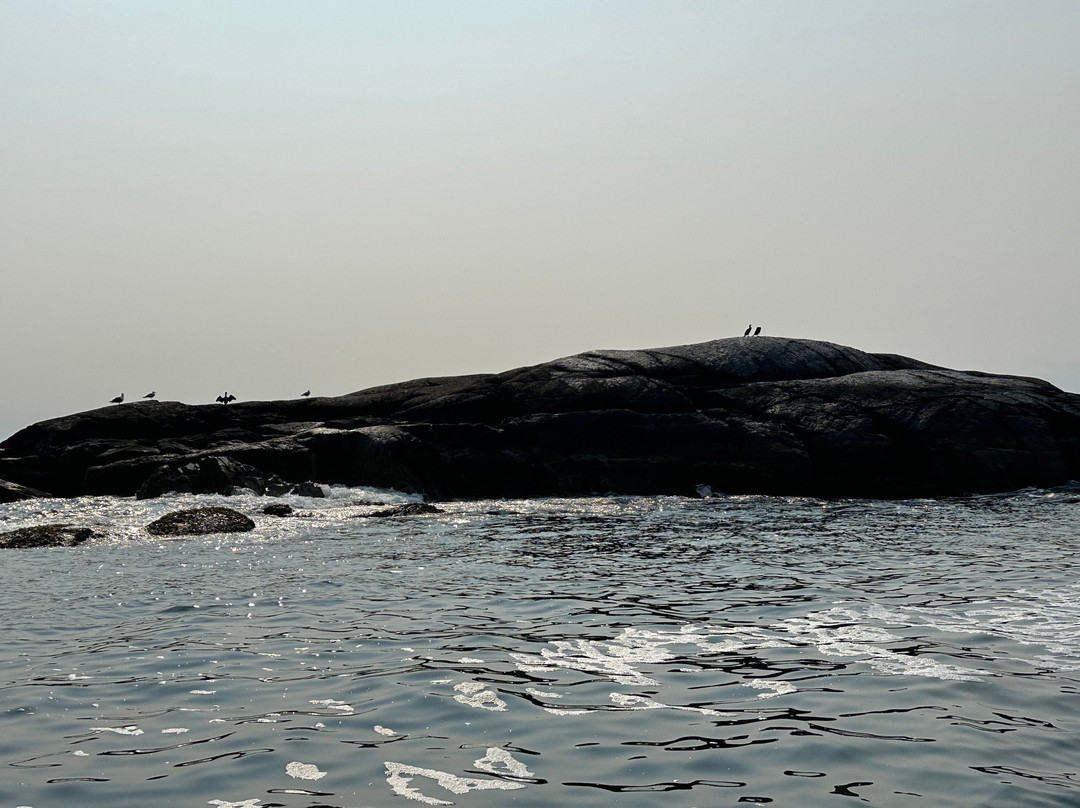 Robertson Sea Tours & Adventures景点图片