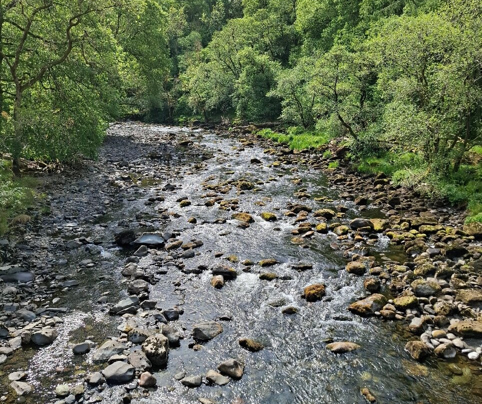 Keswick Railway Path景点图片