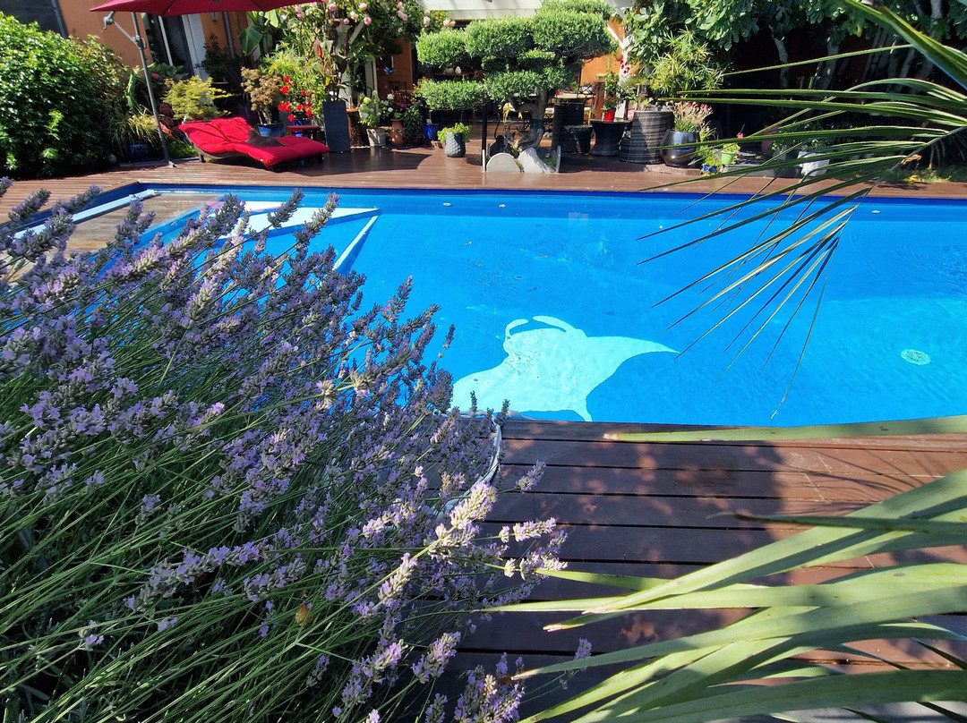 La Petite Chatelaine主图