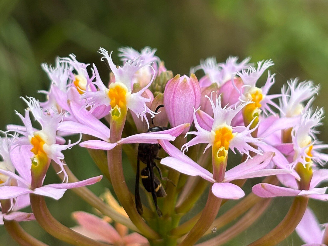 Johani Gaviria Guided Tours-佩雷拉必去景点