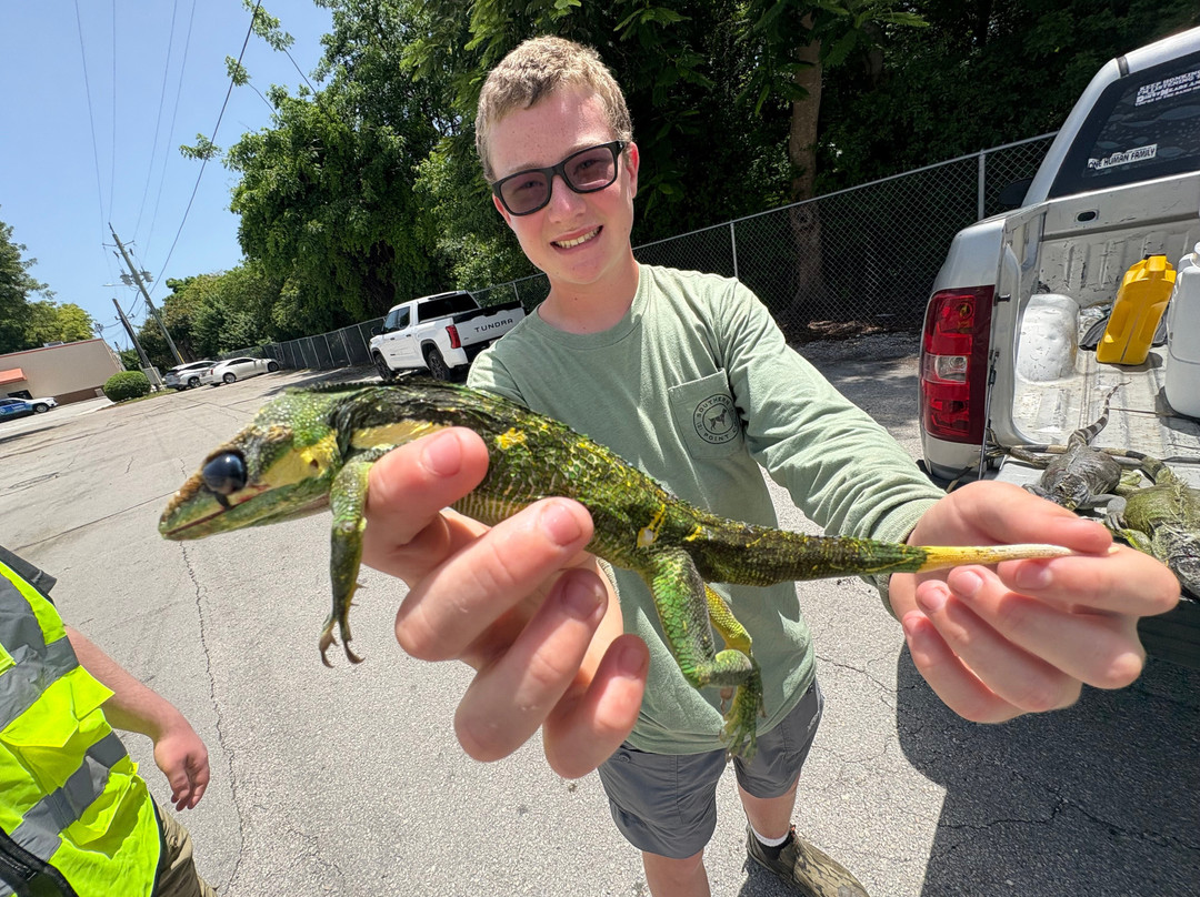 Invasive EnVogue-Ramrod Key必去景点