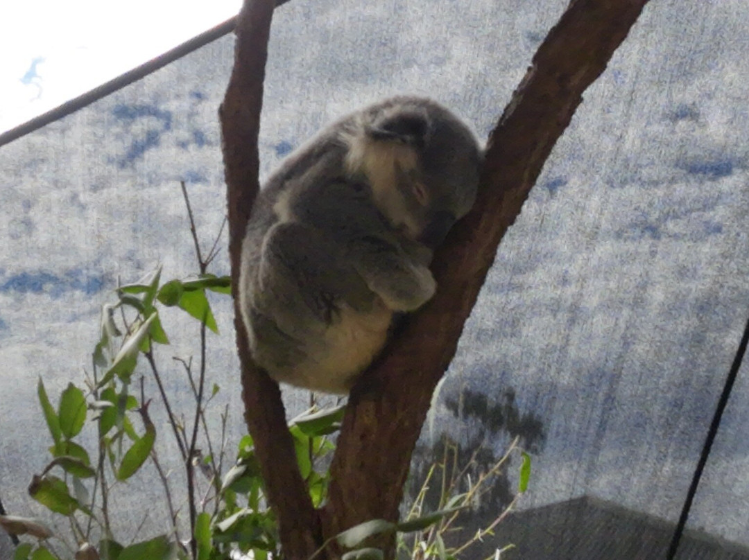 天堂农庄-奥克森福德必去景点
