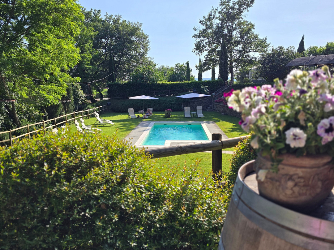 La Cantina Relais - Fattoria Il Cipresso主图