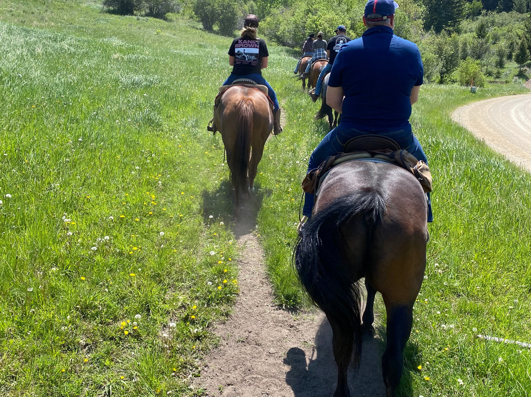 Elk River Outfitters-比灵斯必去景点