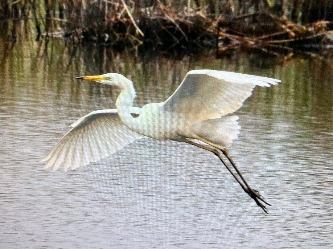 Exmoor Photography Course-迈恩黑德必去景点