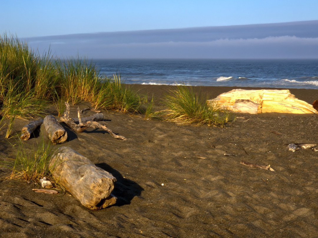 Floras Lake House Bed & Breakfast主图