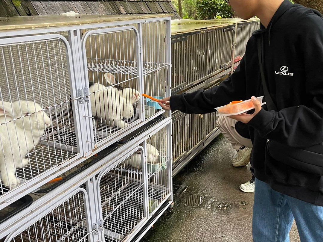 青青世界-深圳市必去景点