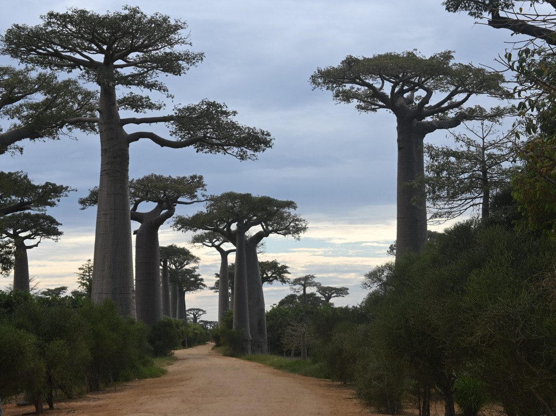 Tsaraventura Madagascar Tour Operator景点图片