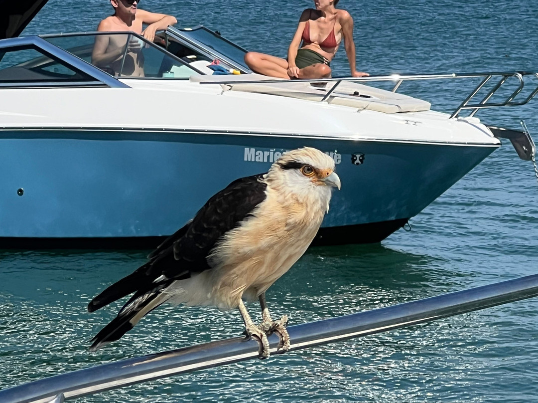 Vou de Lancha-弗洛里亚诺波利斯必去景点