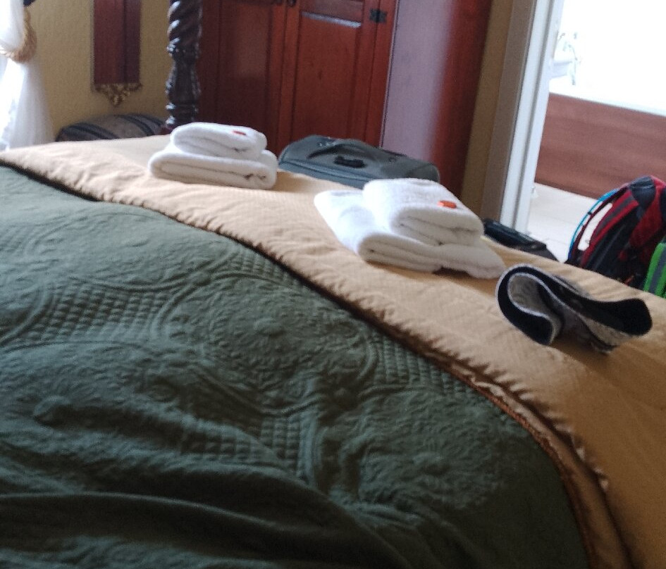 Rosebank House Bed and Breakfast主图