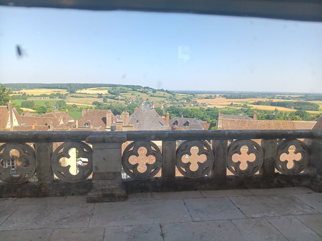 Chateau de Montmirail景点图片