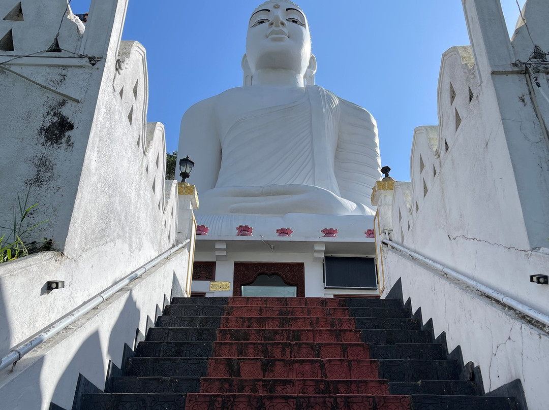 Private Tour Driver Sri Lanka-康提必去景点