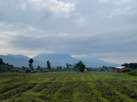 Nature Trails East Africa-恩德培必去景点