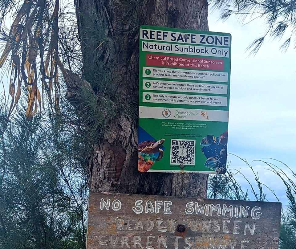 Larsen's Beach-基拉韦厄必去景点