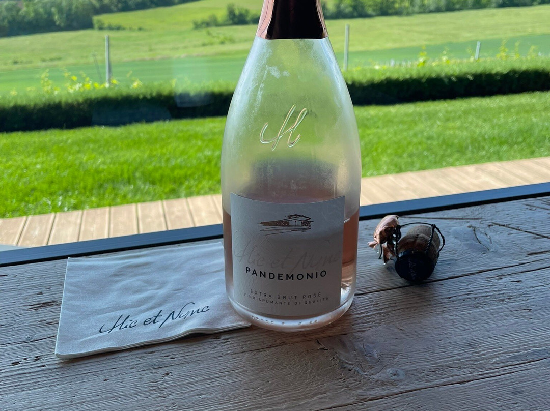 Cantina Hic Et Nunc-Vignale Monferrato必去景点