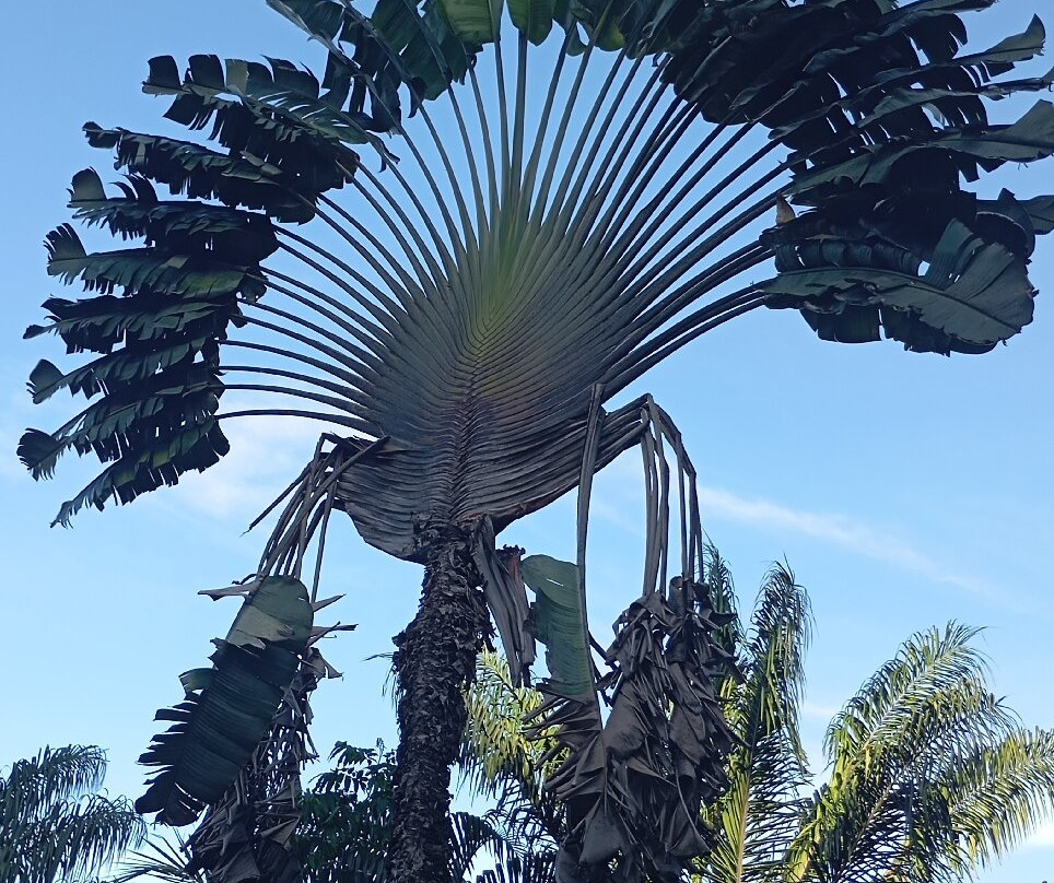 Malou Et Son Verger-Roura必去景点