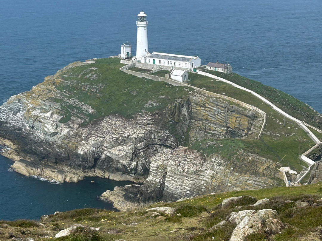 South Stack Cliffs RSPB Reserve-Holyhead必去景点
