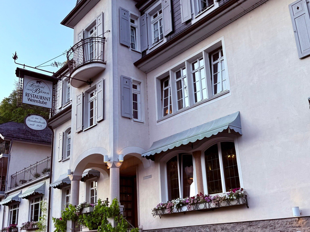 Landhotel Zum Baren主图
