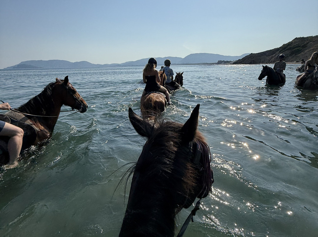 Happy Horses-扎金索斯必去景点
