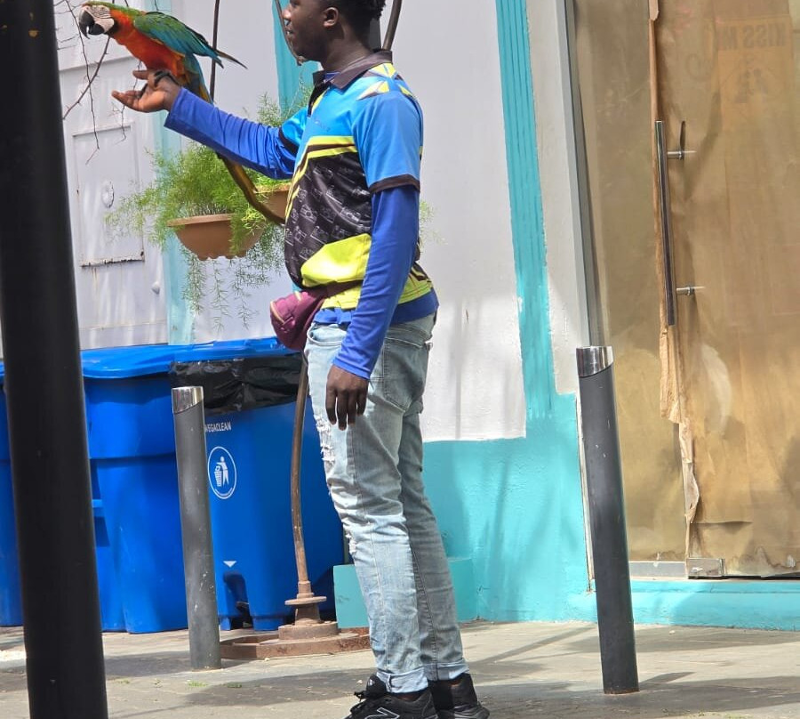 Umbrella Street-普拉塔港必去景点