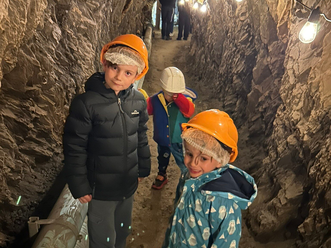 Long Tunnel Extended Gold Mine-Walhalla必去景点