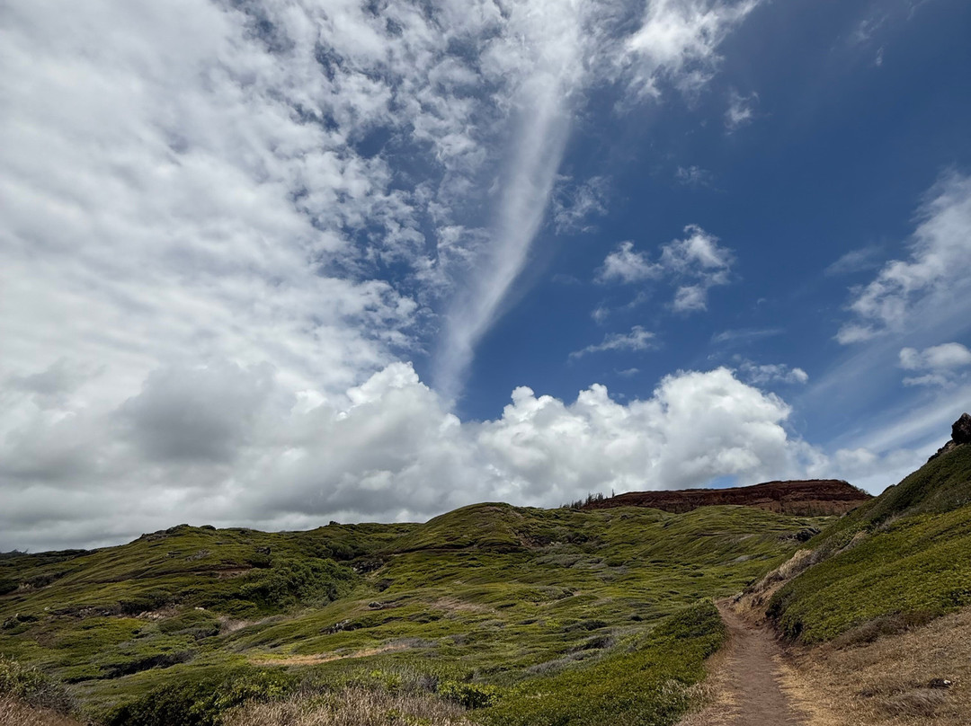 Ohai Loop Trail and Overlook-拉海纳必去景点
