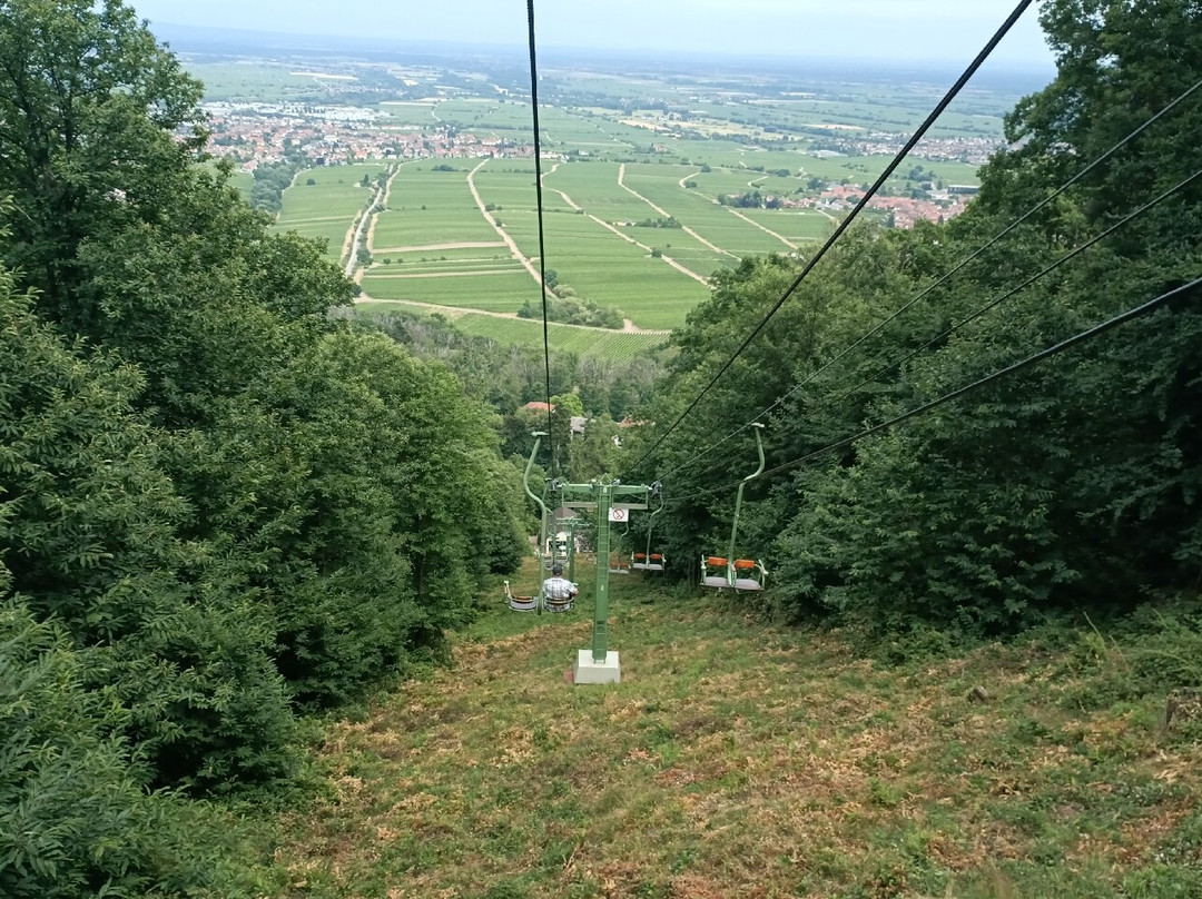 Rietburgbahn-Edenkoben必去景点