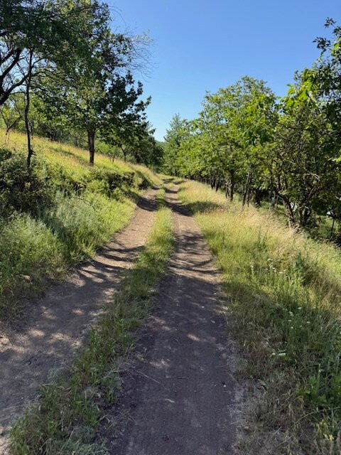 Crama Mircesti-Ungheni必去景点