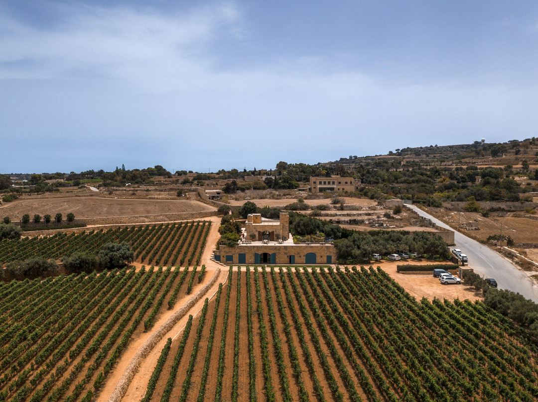 Ta' Betta Wine Estates-Siggiewi必去景点