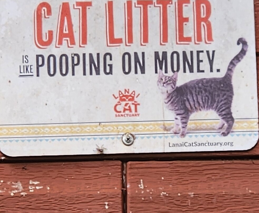 Lanai Jeep Rentals-拉奈市必去景点