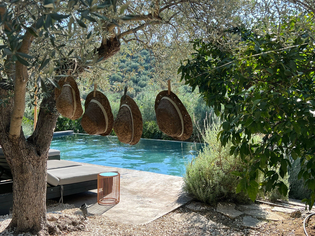 Opora Country Living主图